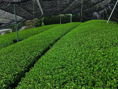 Notice of Price Adjustment Effective October 1st, 2025